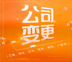 一站式企业服务指南 罗湖公司注册、代理记账与深圳工商事务全解析