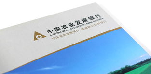 淄博画册设计与品牌形象塑造 辉盛企业形象设计公司的专业服务